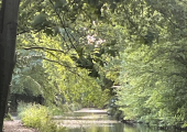Basingstoke canal