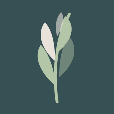 Evolve Counselling