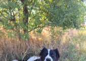 Skye, who some people like to join us. 