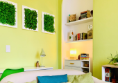 The Green Room at Invivo Therapies