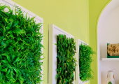 The Green Room at Invivo Therapies