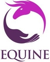 Equine Enlightenment Equine Enlightenment