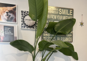A calm space
