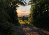 Nature Therapy - A local walk 