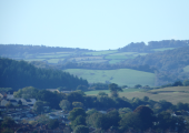 View from Garden office in Newton Abbot