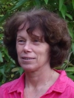 Lynn Rees Pg Dip CBT, MBACP Lynn Rees Pg Dip CBT, MBACP