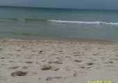Footsteps in the Sand