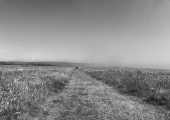 The passage way