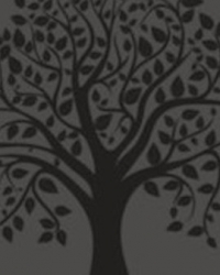Blackwood Consultants Ltd Blackwood Consultants Ltd