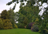 The peaceful view from the window of my therapy room in Omagh