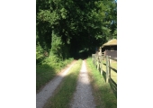 Counselling as a path: what might you discover on yours?
