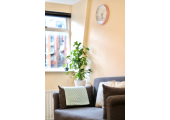 Muswell Hill Counselling - Light and airy