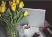 Calm online therapy space for confidential Cognitive Behavioural Therapy sessions.