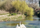 Our visitors &hellip; 