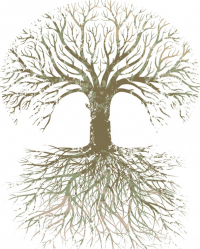 The Fitzrovia Child And Family Practice. The Fitzrovia Child And Family Practice.