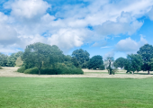 Welcome to my outdoor therapy space, Hampstead Heath.