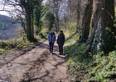 Walking and talking can allow space for new feelings to arise.