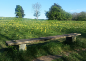 Time to pause on a bench