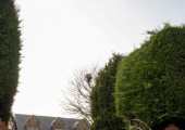My in-person sessions take place in a beautiful, tranquil stone building, surrounded by gardens.