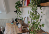 Office 1: Central Exeter