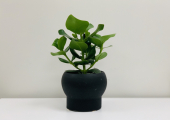 Therapy room: Relational Psychotherapy Practice