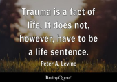 Peter Levine PHD the creator of Somatic Experiencing (SE)&reg;
