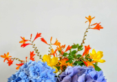 Therapy room blooms