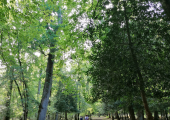 Why not try walk and talk therapy ?
