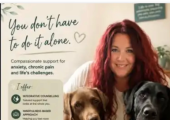 Counselling with animals