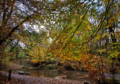 Accessible riverside paths at Loggerheads