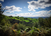Clwydian Range