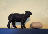 Black Sheep Counselling & Psychotherapy's mascot