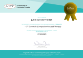 Compassion Focused Therapist