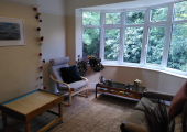 Psychotherapy Room