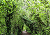 A springtime shot of my Walk and Talk route