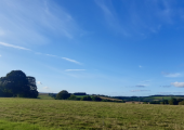 The beautiful field that my counselling room is located in.