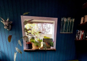 The Therapy Cabin