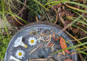 working with outdoors
