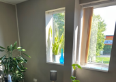 Consulting Room