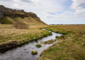 Who knows where the brook will take us?  Self Discovery