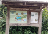Warnham Nature Reserve - outdoor therapy walk and talk