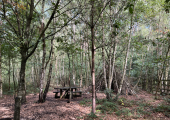 An example of an outdoor counselling space
