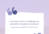 Feedback from Resilience Workshops