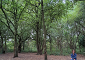 Outdoor Therapy in Hinckley & Bosworth area.