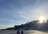 Walk and talk s