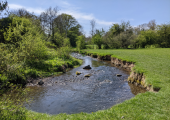 A peaceful area for outdoor counselling.