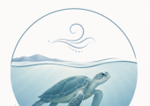 Livingcalm