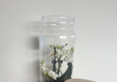 Pamela Statham Therapy Room