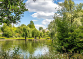 Walking Therapy in Regent's Park