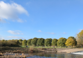 Walk and talk therapy in Pontcanna park.